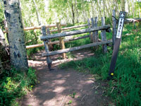 Fence photo